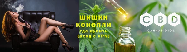 мяу мяу мука Абаза